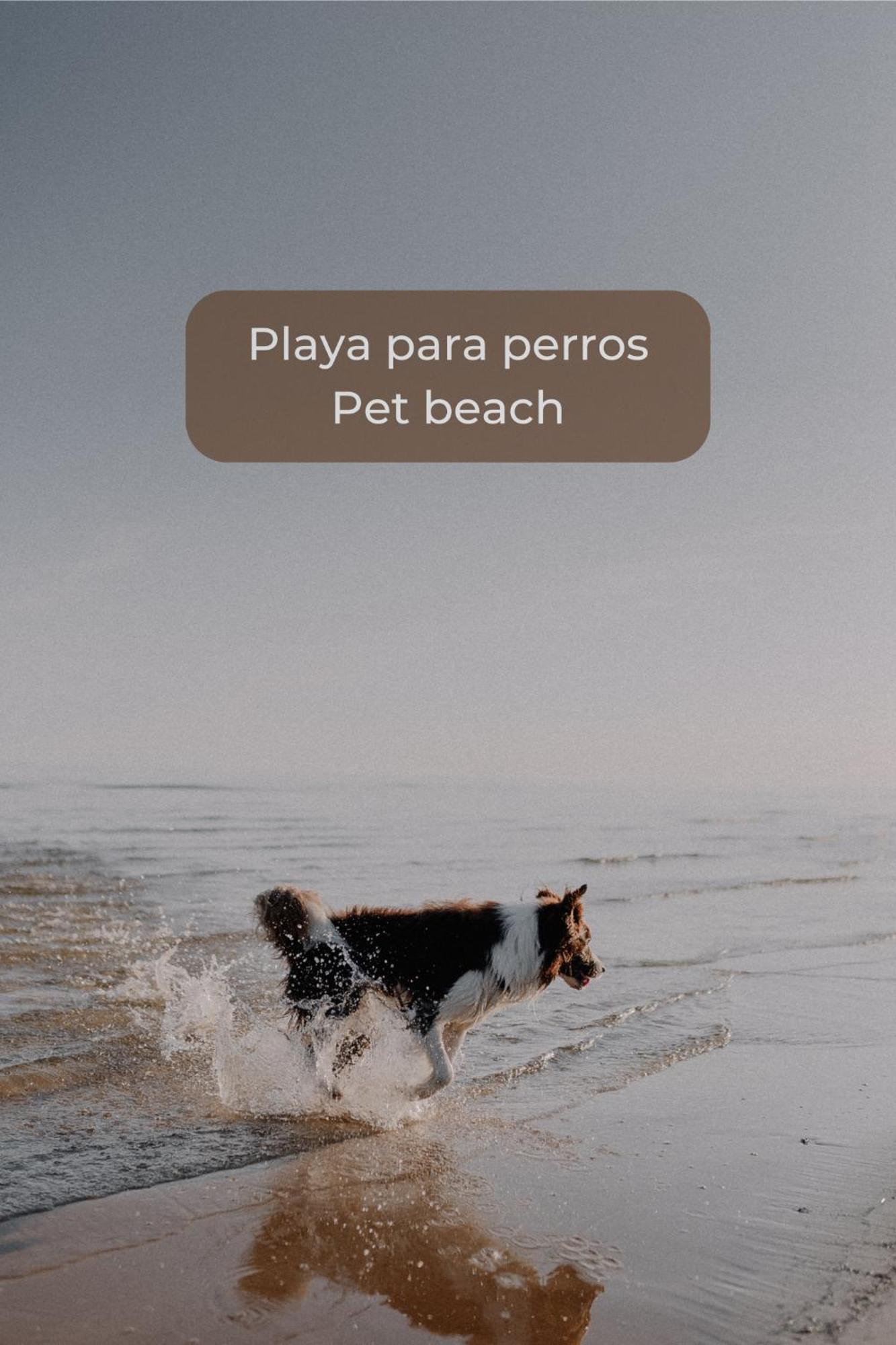 Canelita Con Piscina, Soleada Terraza Amplia Wifi Y Parking Corralejo Extérieur photo